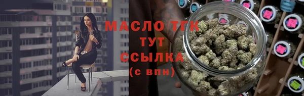 дмт Осташков