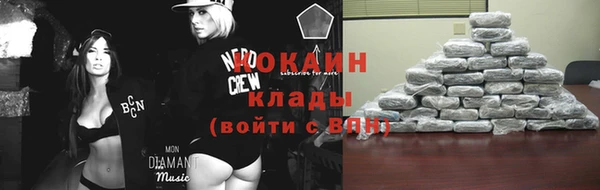 дмт Осташков