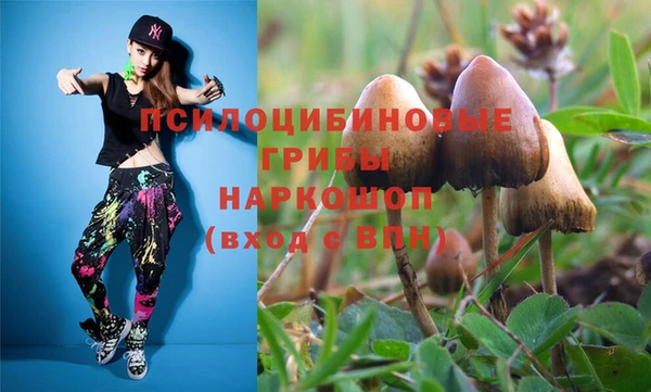 дмт Осташков