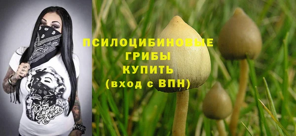 экстази Осинники