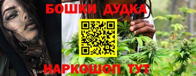 сатива Апшеронск