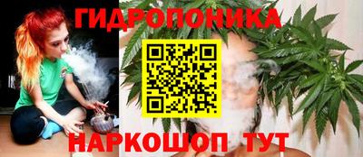 прущие грибы Аргун