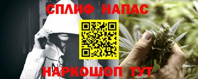 прущие грибы Аргун