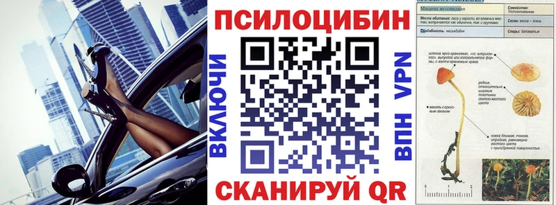 shop Telegram  Сертолово  Галлюциногенные грибы прущие грибы 