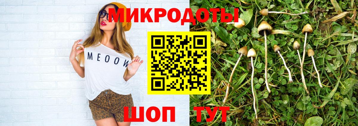 Псилоцибиновые грибы Psilocybine cubensis  Галлюциногенные грибы Psilocybine cubensis  Сертолово 