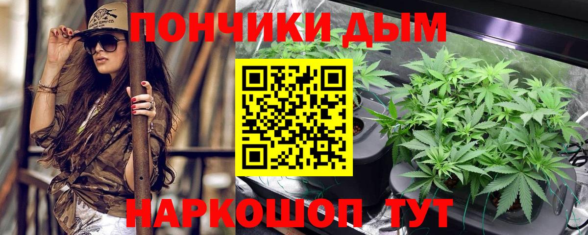 Марихуана AK-47  Вход с VPN  Конопля сатива  Бошки Шишки White Widow  Сертолово  Бошки марихуана индика 